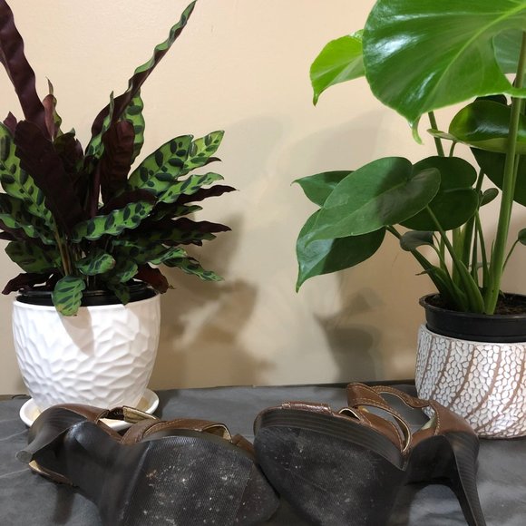 Brown Strappy Sandal Heels - Picture 5 of 5